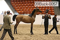 09buck-0057 proof