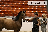 09buck-0058 proof