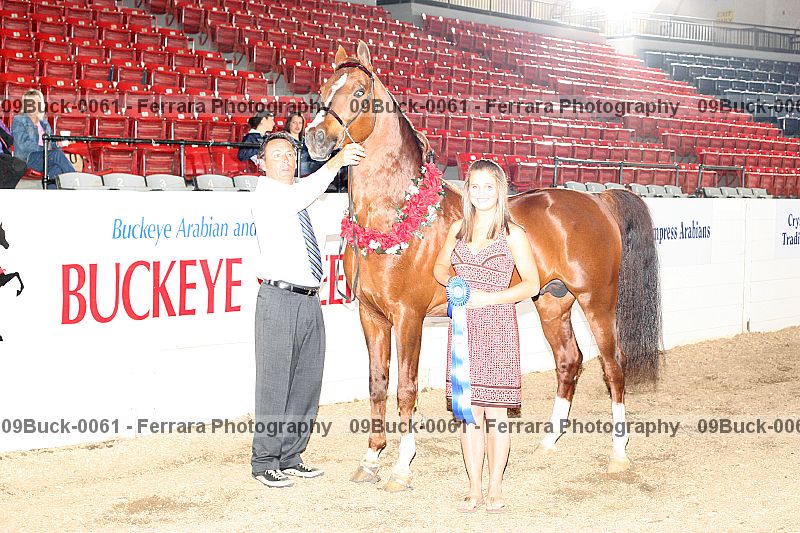Proof 09buck-0061