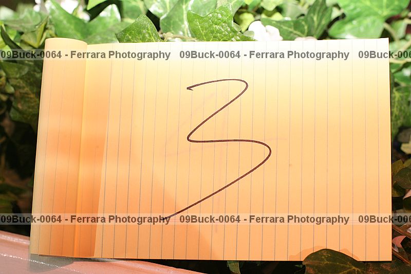 Proof 09buck-0064