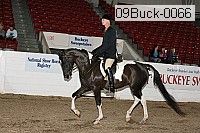 09buck-0066 proof