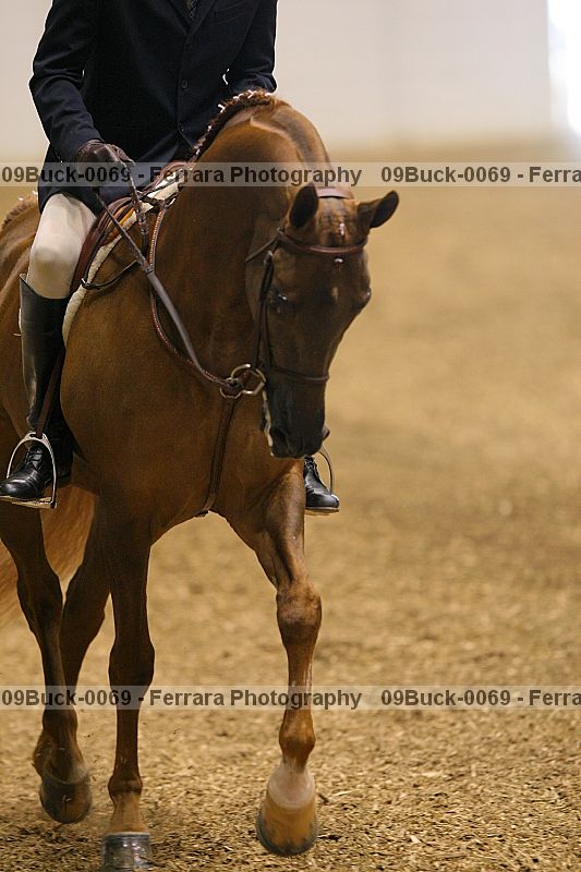 Proof 09buck-0069