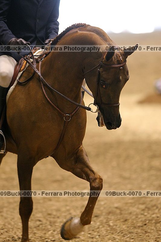 Proof 09buck-0070