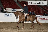 09buck-0071 proof