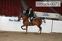 09buck-0073 proof