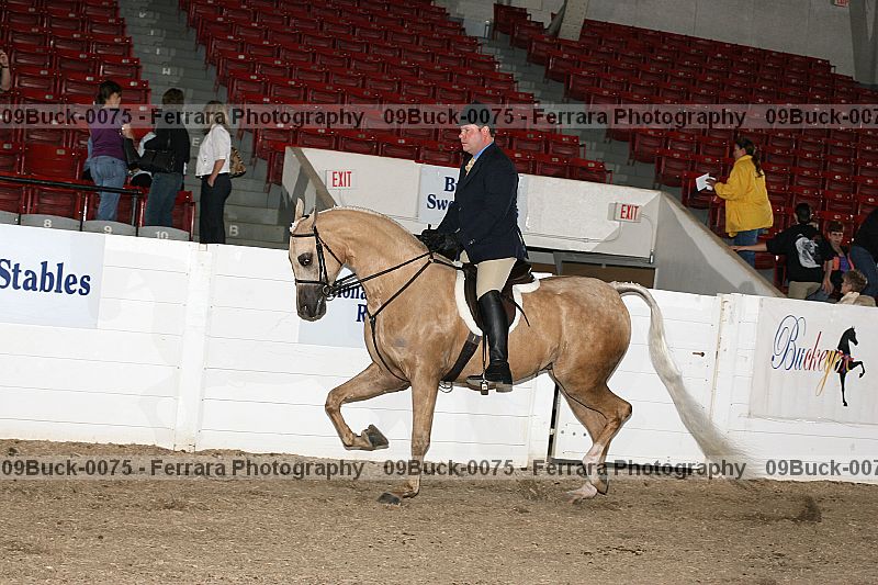 Proof 09buck-0075