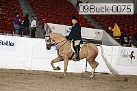 09buck-0075 proof