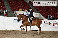09buck-0077 proof