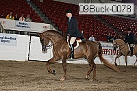 09buck-0078 proof
