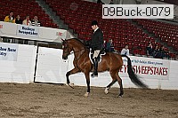 09buck-0079 proof