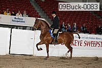 09buck-0083 proof