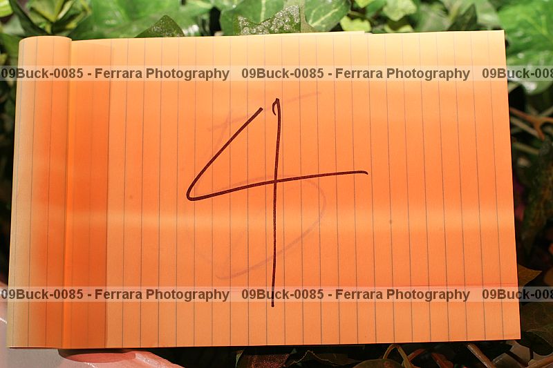 Proof 09buck-0085
