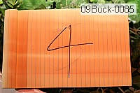 09buck-0085 proof