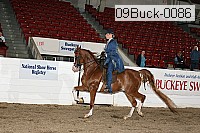09buck-0086 proof