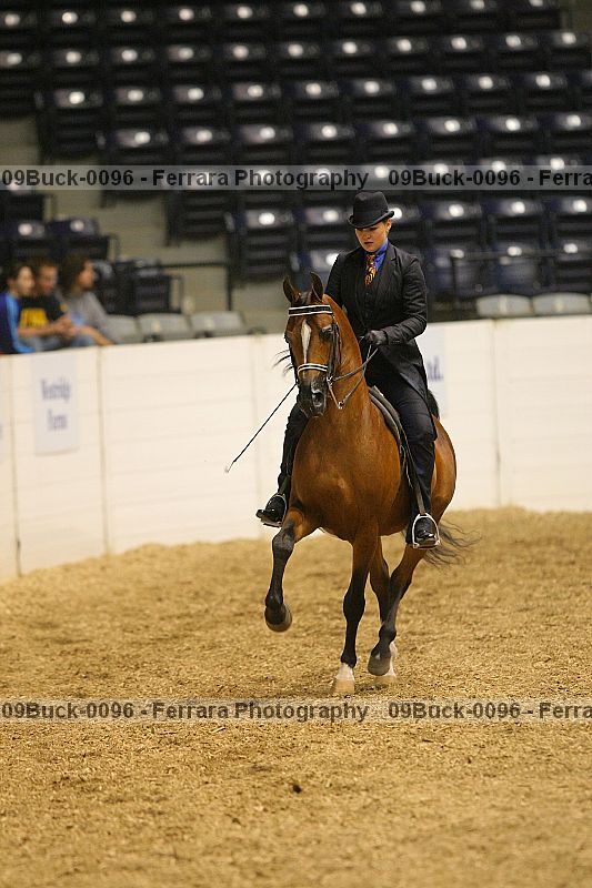 Proof 09buck-0096