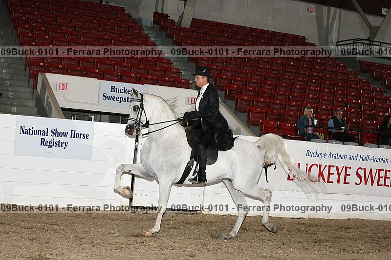 Proof 09buck-0101