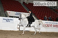 09buck-0101 proof