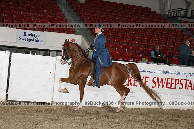 Proof 09buck-0106
