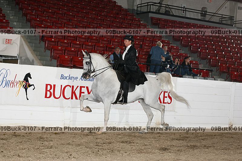 Proof 09buck-0107