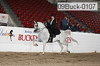 09buck-0107 proof