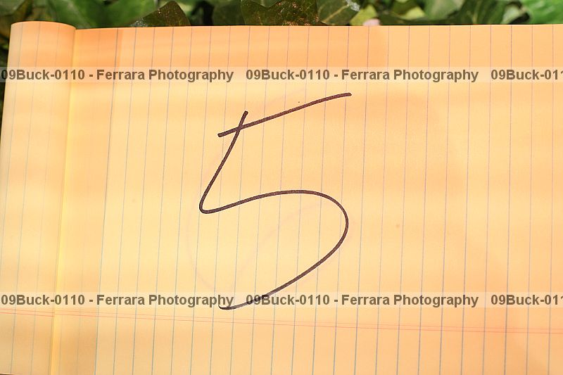 Proof 09buck-0110