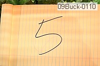 09buck-0110 proof