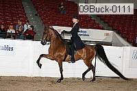 09buck-0111 proof