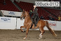 09buck-0112 proof