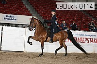 09buck-0114 proof