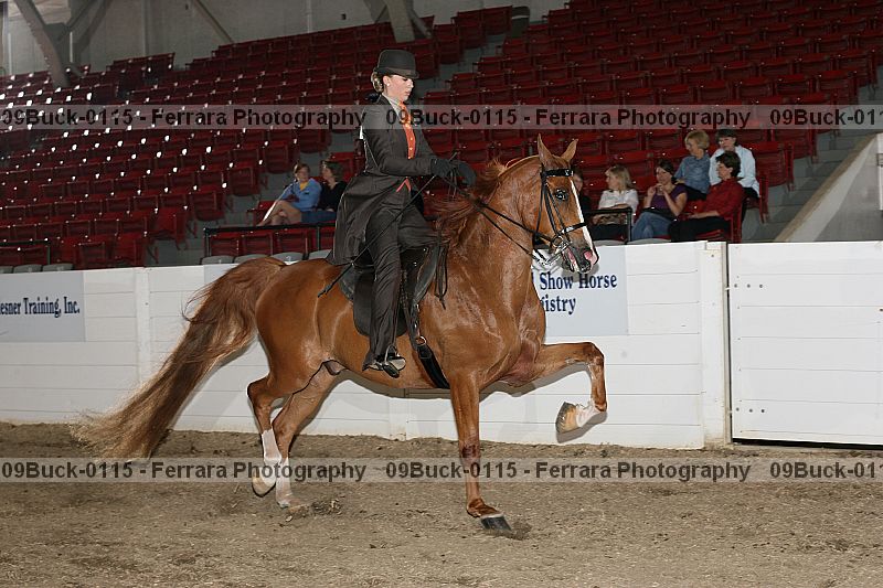 Proof 09buck-0115