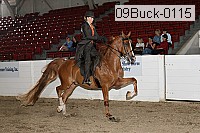 09buck-0115 proof
