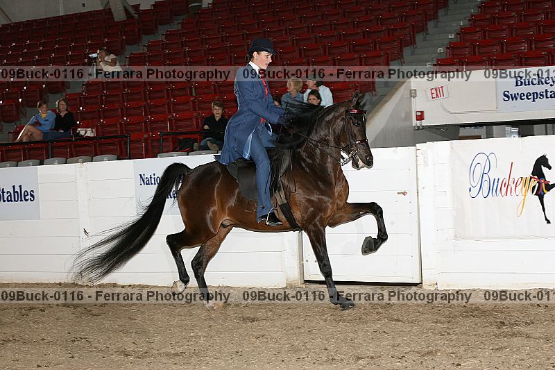 Proof 09buck-0116