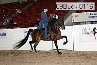 09buck-0116 proof