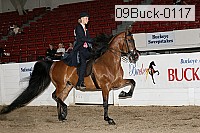 09buck-0117 proof