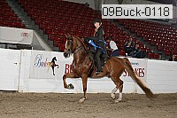 09buck-0118 proof