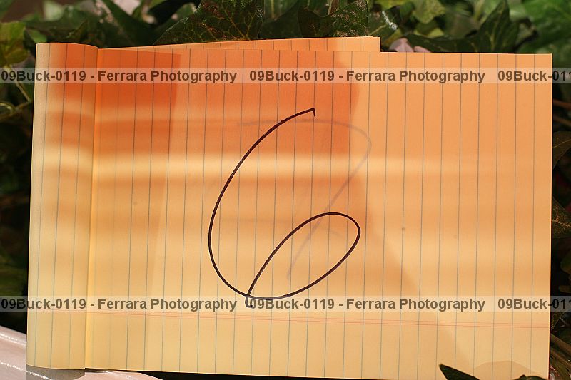 Proof 09buck-0119
