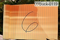 09buck-0119 proof
