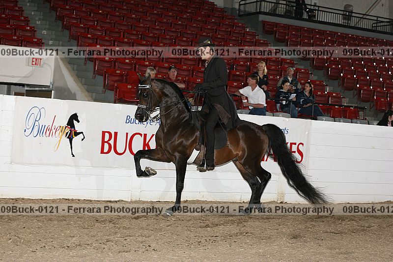Proof 09buck-0121
