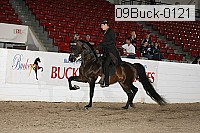 09buck-0121 proof