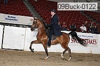 09buck-0122 proof