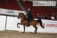 09buck-0123 proof