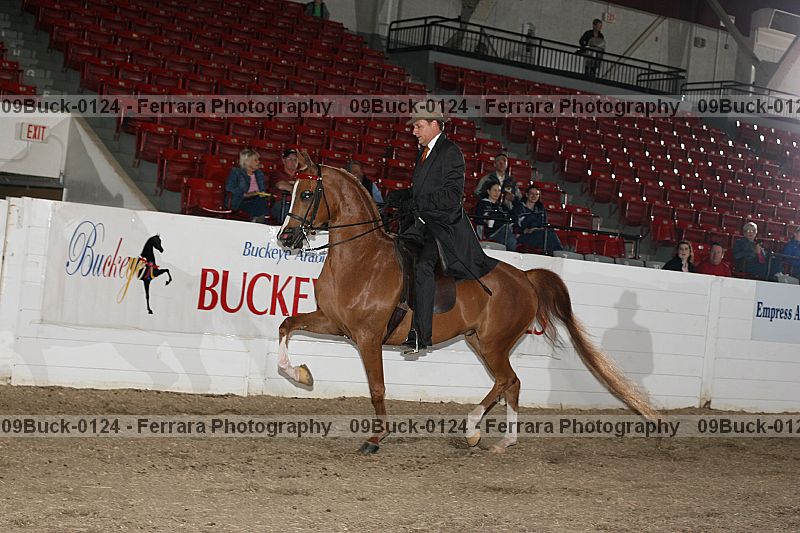 Proof 09buck-0124