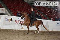 09buck-0124 proof