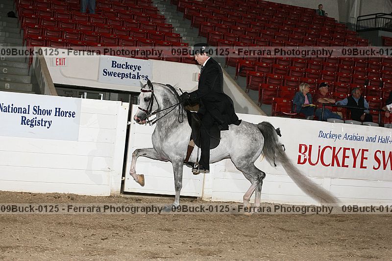 Proof 09buck-0125