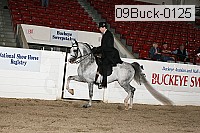 09buck-0125 proof