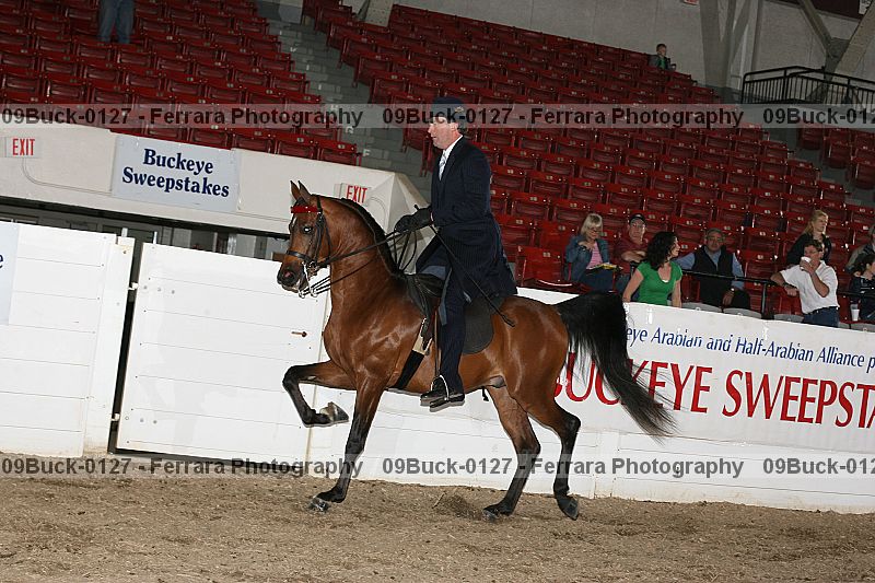 Proof 09buck-0127