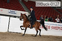 09buck-0127 proof