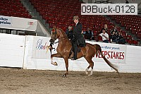 09buck-0128 proof