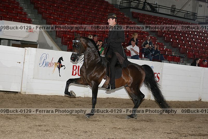Proof 09buck-0129