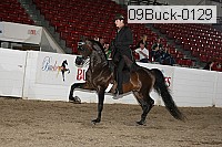 09buck-0129 proof